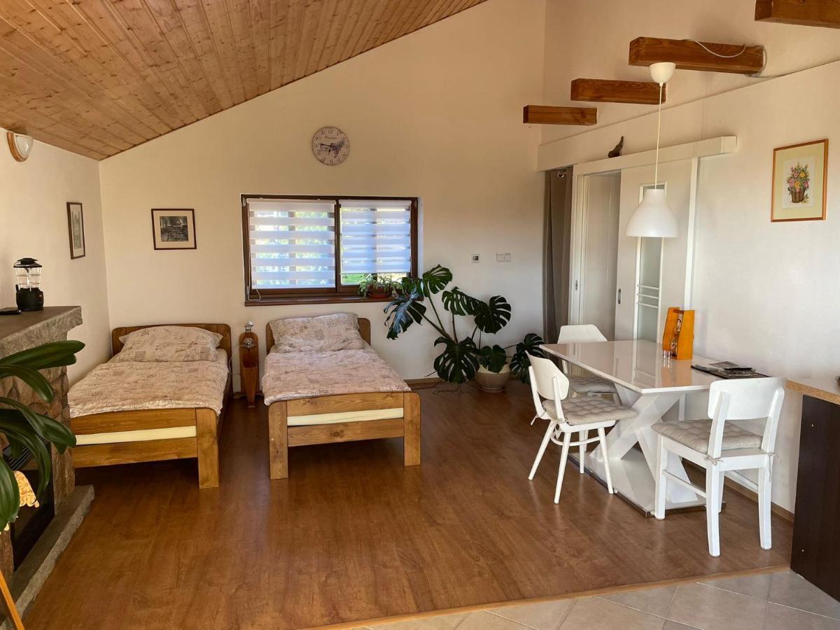 Apartman V Podhuri Jizerskych Hor Zelezny Brod Bagian luar foto