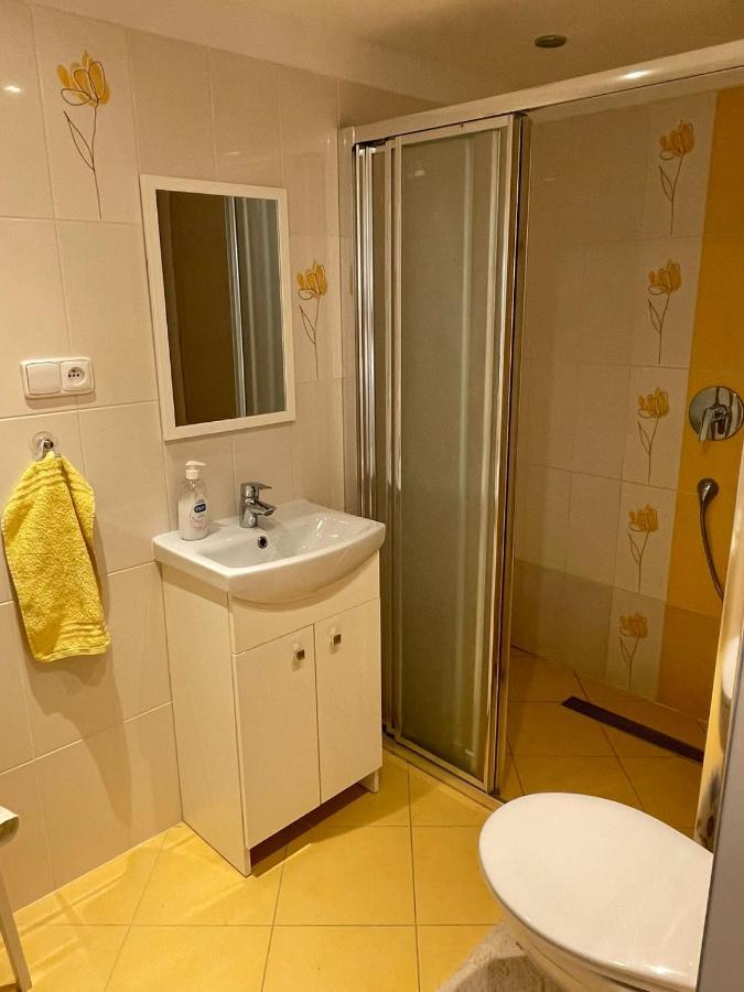 Apartman V Podhuri Jizerskych Hor Zelezny Brod Bagian luar foto